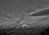 Moeatoa_3